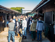PN280925-130 - Paul Nicholls Stable Visit